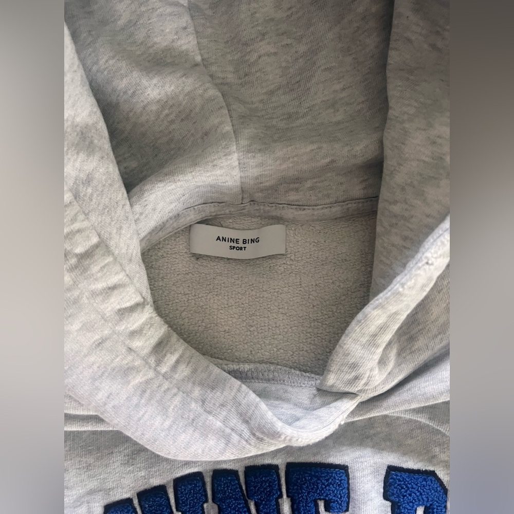 Anine Bing Sport Light Gray Tyler Hoodie - Picture 4 of 9